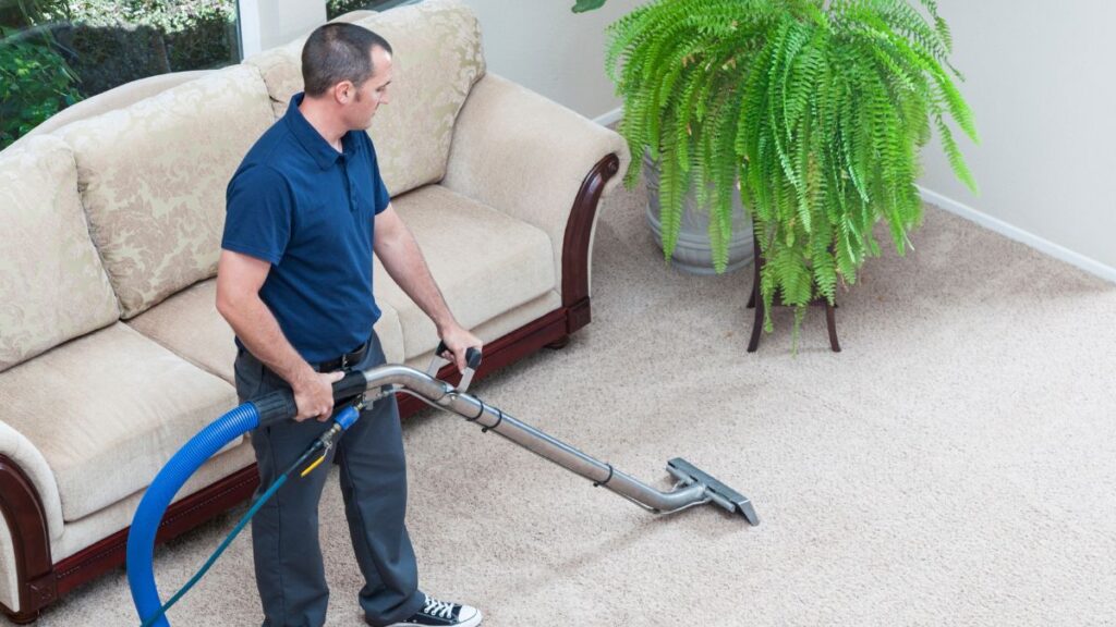 Deep Clean Your Carpets Without Renting Equipment