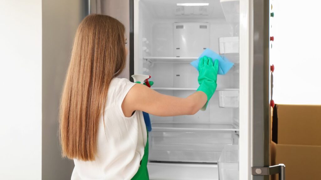 Refrigerator Deep-Sanitize Before Summer Heat