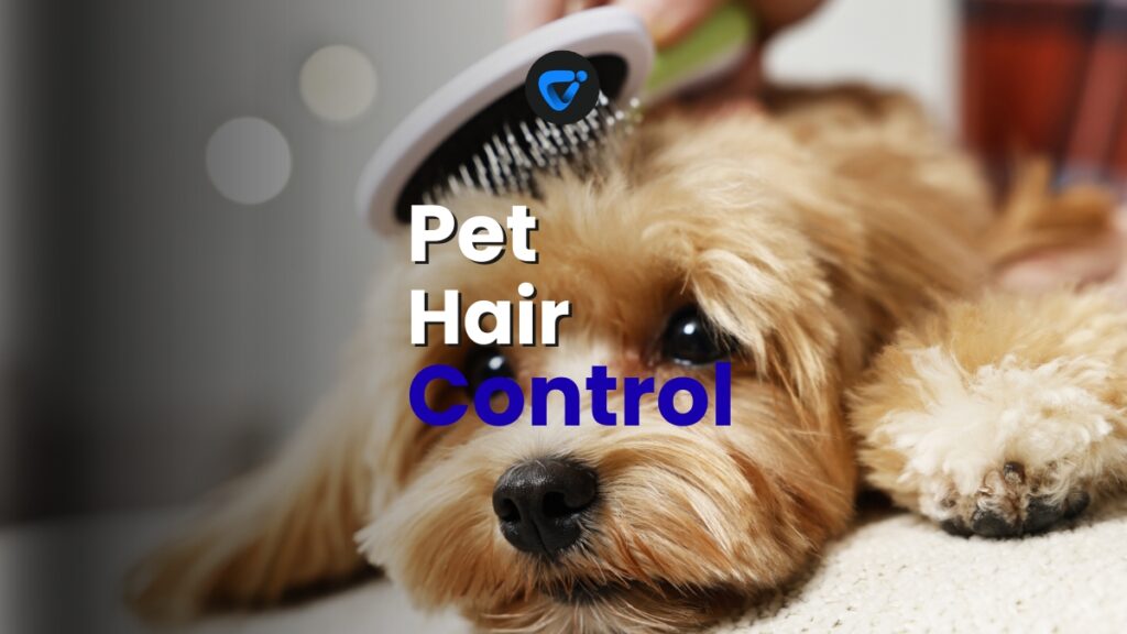 Pet Hair Containment Routine